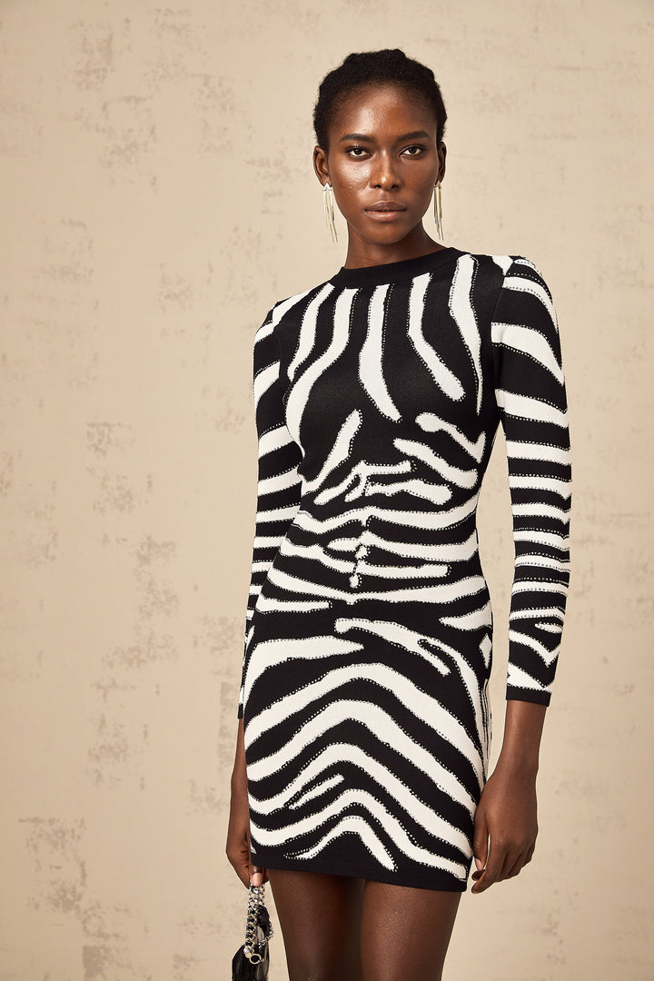 Jeanne Zebra Desenli Pullu Mini Elbise