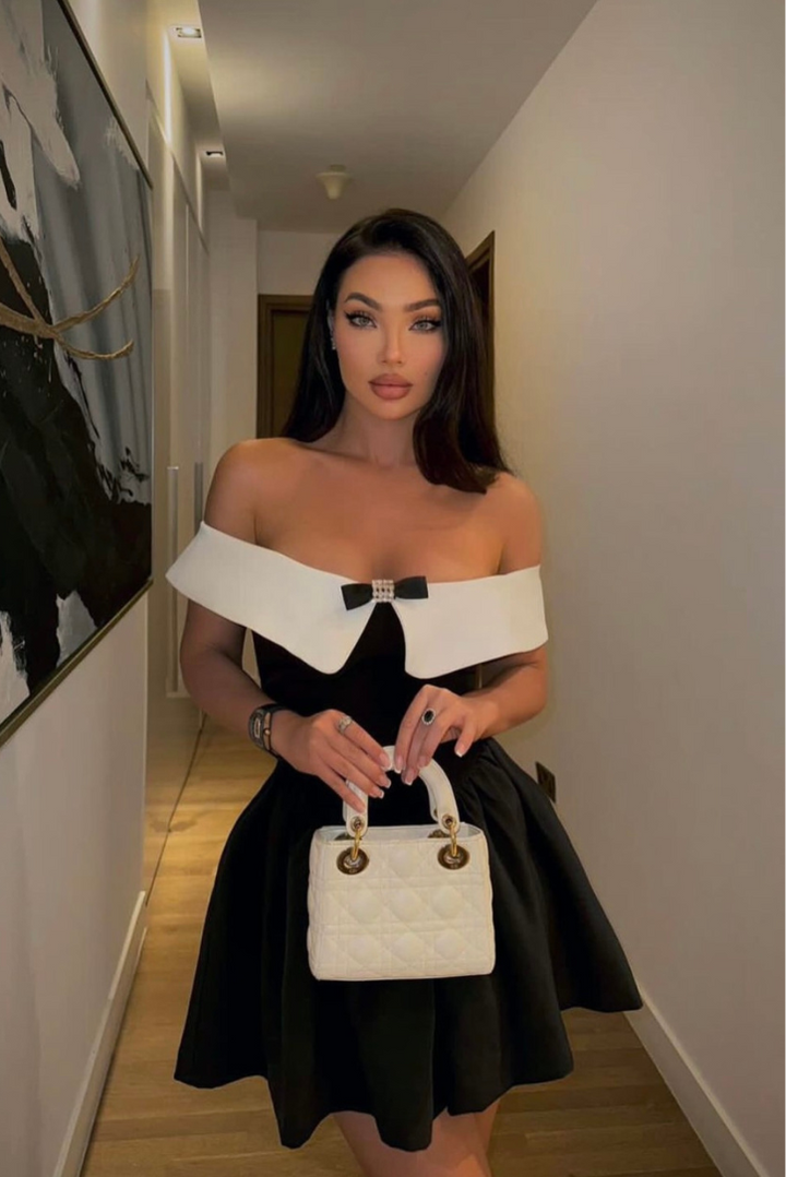 Penelope Kristal Mini Elbise - Riosso