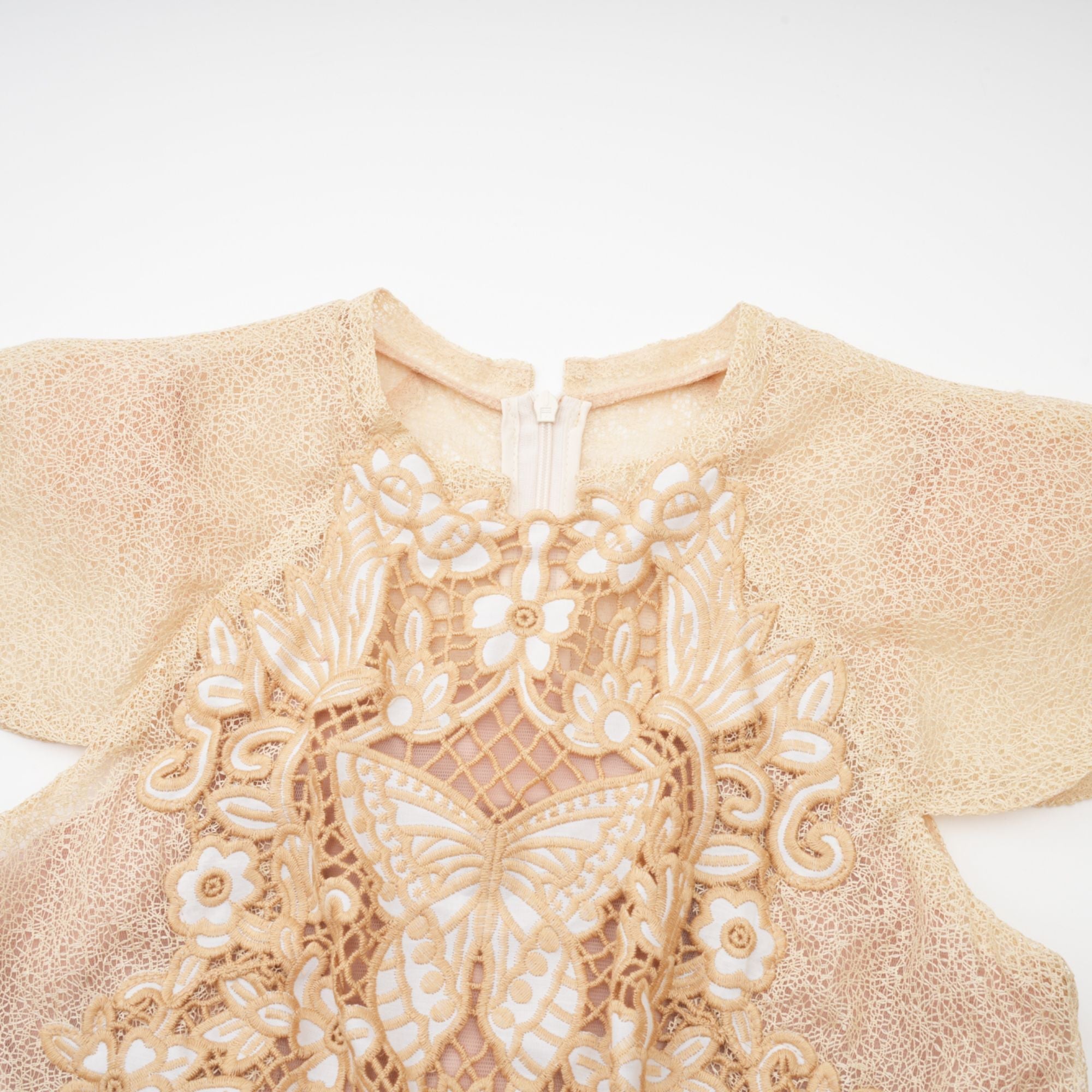 Nerissa İşlemeli Pilili Midi Elbise